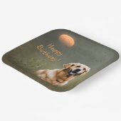 Assiettes En Carton Golden Retriever (Angulaire)