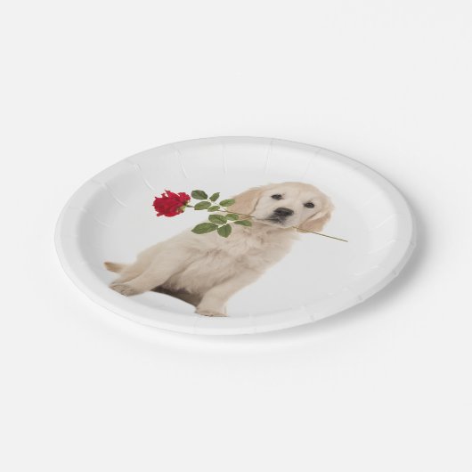 Assiettes En Carton Golden Retriever Chien Chien Chien Mariage (Angle)