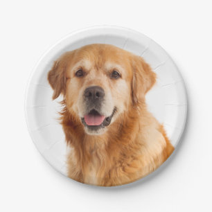 Assiettes En Carton Golden Retriever Chien Chien Chien Mariage