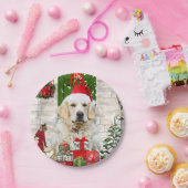 Assiettes En Carton Golden Retriever Chien Noël (Fête)