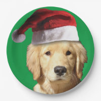 Golden Retriever portant un Casquette du Père Noël
