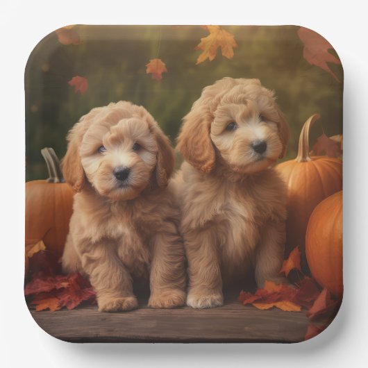 Assiettes En Carton Goldendoodle Chiot Automne Citrouille délice (Recto)