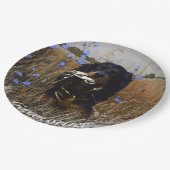 Assiettes En Carton Gordon Setter (Angle)