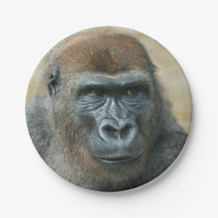 Assiettes En Carton Gorilla