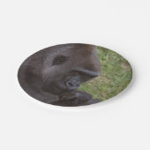 Assiettes En Carton Gorilla (Angle)