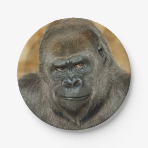 Assiettes En Carton Gorilla