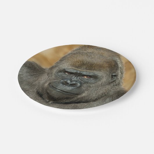 Assiettes En Carton Gorilla (Angle)