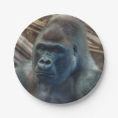 Assiettes En Carton Gorilla fermer la plaque de papier (Devant)