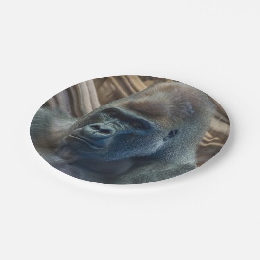 Assiettes En Carton Gorilla fermer la plaque de papier (Angle)