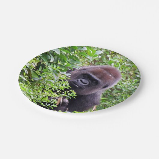 Assiettes En Carton Gorilla Peek-A-Boo - Plaques de papier (Angle)