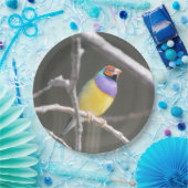 Assiettes En Carton Gouldian finch (Fête)
