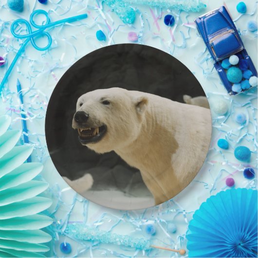 Assiettes En Carton Graine d'ours polaire (Fête)