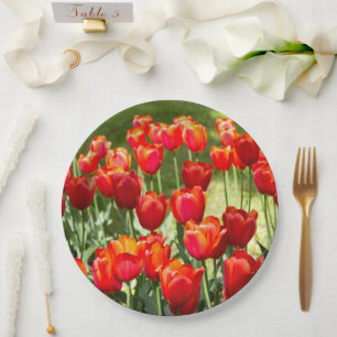 Assiettes En Carton Grand champ de tulipes rouges