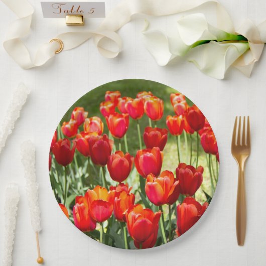 Assiettes En Carton Grand champ de tulipes rouges (Mariage)