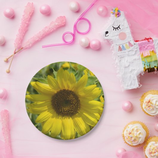 Assiettes En Carton Grande plaque de papier tournesol (Fête)