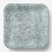 Assiettes En Carton Granite vieilli (Recto)