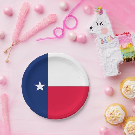 Assiettes En Carton Graphique d'indicateur d'état Texas dynamique sur  (Fête)