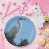 Assiettes En Carton Great Egret dans la Floride ensoleillée (Fête)