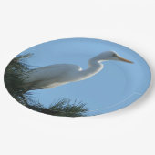 Assiettes En Carton Great Egret dans la Floride ensoleillée (Angle)