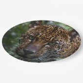 Assiettes En Carton Green Eyed Jaguar, (Angle)