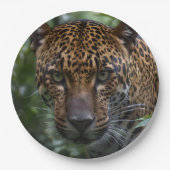 Assiettes En Carton Green Eyed Jaguar, (Devant)