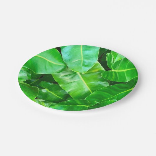 Assiettes En Carton Green feuille Palm Leaf feuillage tropical jungle (Angle)