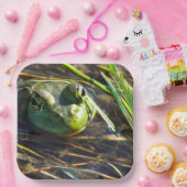 Assiettes En Carton Grenouille (Fête)