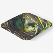 Assiettes En Carton Grenouille (Angulaire)