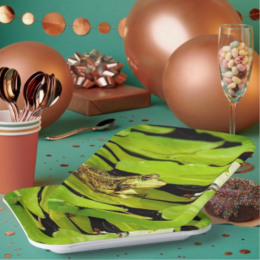 Assiettes En Carton Grenouille (Multi)