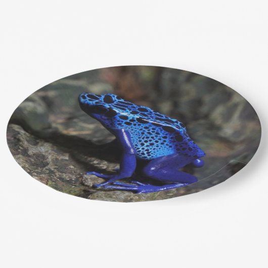 Assiettes En Carton Grenouille bleue poison, grenouille bleue vive (Angle)