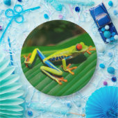 Assiettes En Carton Grenouille d'arbre aux yeux rouges de vert (Fête)