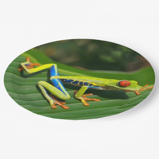 Assiettes En Carton Grenouille d'arbre aux yeux rouges de vert (Angle)