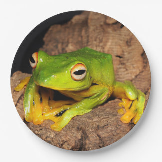 Assiettes En Carton Grenouille de glissement Noir-Palmée vietnamienne