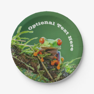 Assiettes En Carton Grenouille des yeux rouges sur une branche