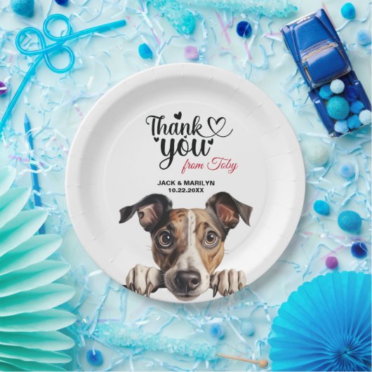 Assiettes En Carton Greyhound (Fête)