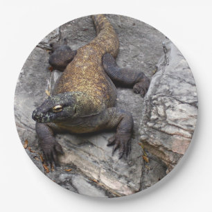 Assiettes En Carton Gros plan sur la nature du dragon de Komodo