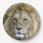 Assiettes En Carton Gros plan sur la tête du lion (Devant)