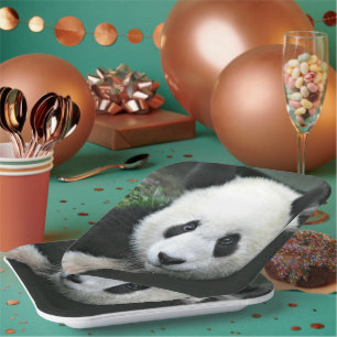 Assiettes En Carton Gros plan sur un panda géant dans de l'herbe verte