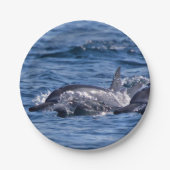 Assiettes En Carton Groupe de dauphins de goulot (Devant)