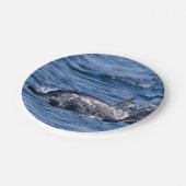 Assiettes En Carton Groupe de dauphins de goulot (Angle)