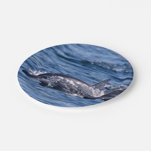 Assiettes En Carton Groupe de dauphins de goulot (Angle)