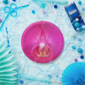 Assiettes En Carton Guda (Fête)