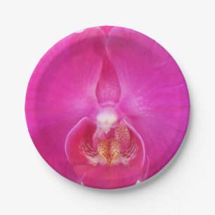 Assiettes En Carton Guda