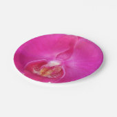 Assiettes En Carton Guda (Angle)