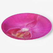 Assiettes En Carton Guda (Angle)