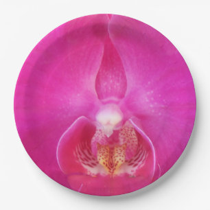 Assiettes En Carton Guda