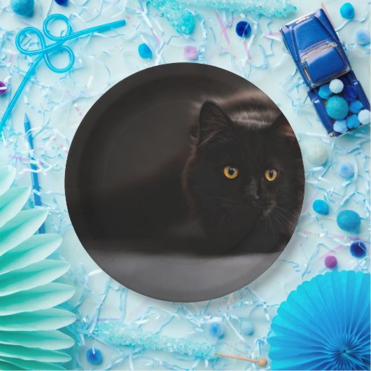 Assiettes En Carton HAMbyWG - Plaques papier personnalisées 9" - Chat  (Fête)