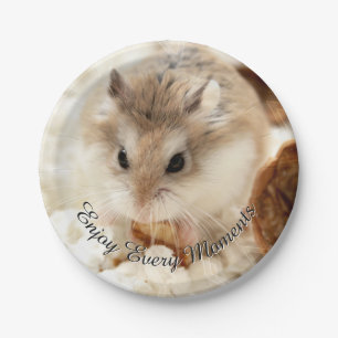 Assiettes En Carton Hammyville - hamster mignon
