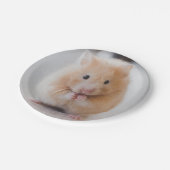 Assiettes En Carton hamster (Angle)