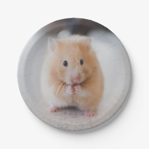 Assiettes En Carton Hamster mignon